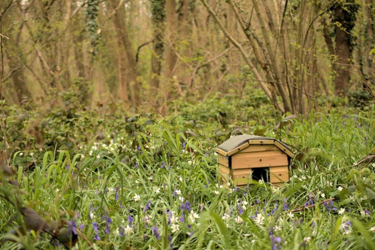 Glamping Magical Forest Yurt Sturry