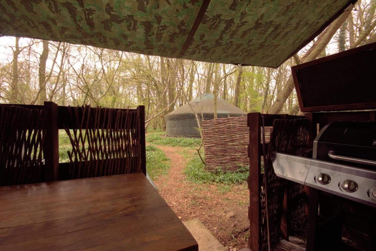 Magical Forest Yurt Роскошный шатер *