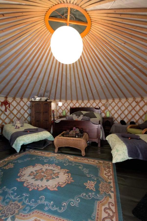 Magical Forest Yurt Роскошный шатер