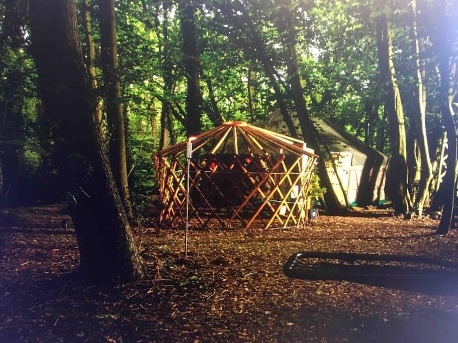 Роскошный шатер Magical Forest Yurt *