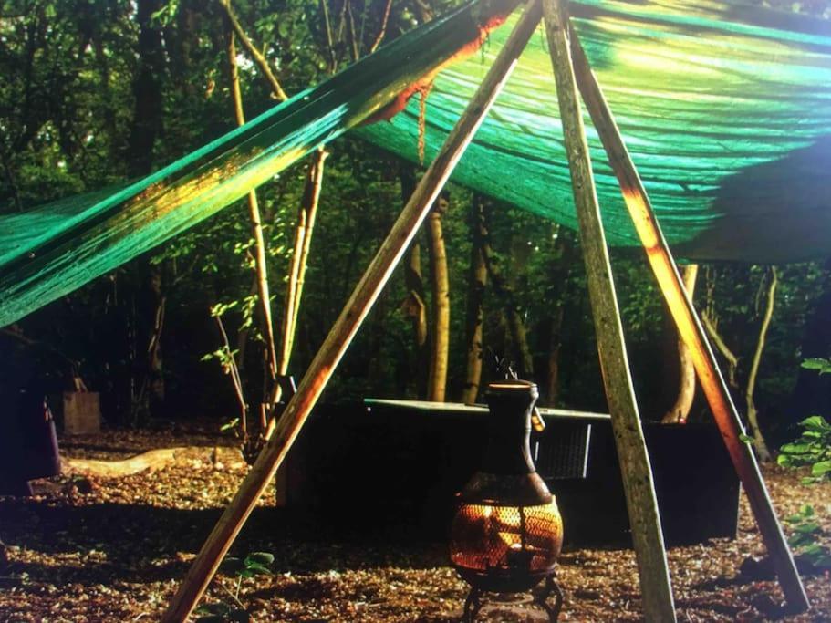 Magical Forest Yurt Sturry