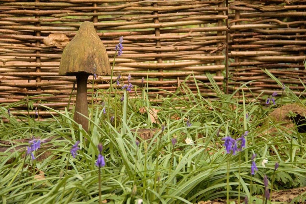 Роскошный шатер Magical Forest Yurt