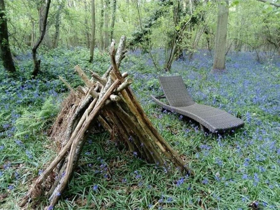 Роскошный шатер Magical Forest Yurt *