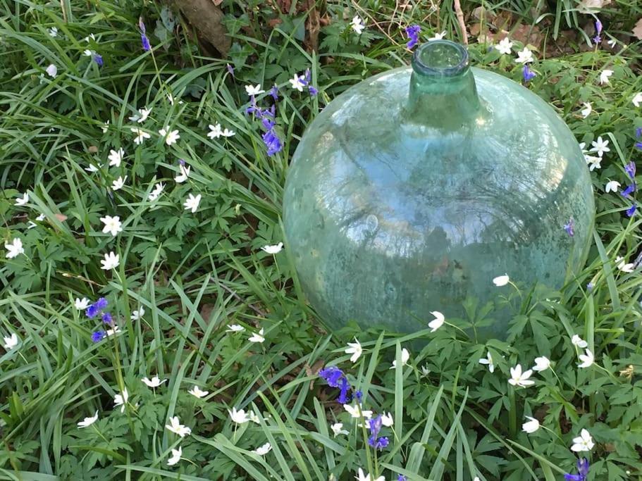 Magical Forest Yurt * Sturry