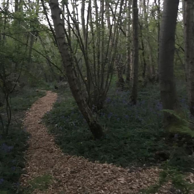 Magical Forest Yurt Роскошный шатер Sturry