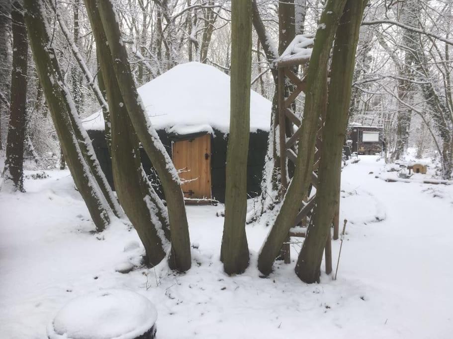 Magical Forest Yurt Роскошный шатер