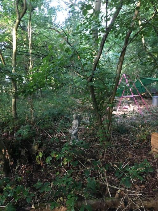 Magical Forest Yurt Роскошный шатер Sturry