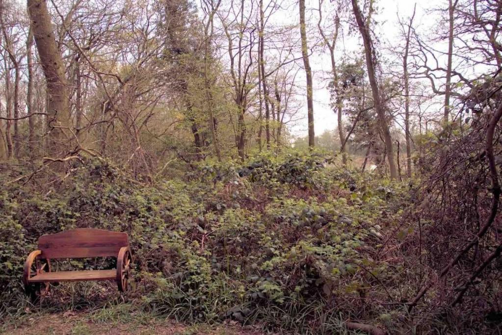 Magical Forest Yurt