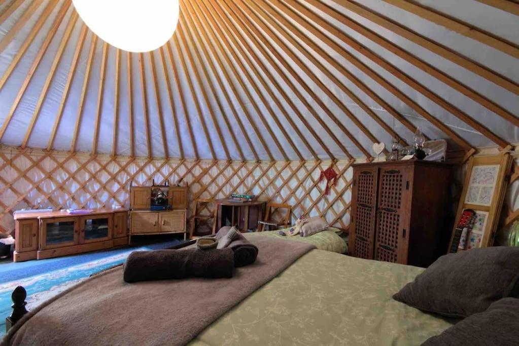 Magical Forest Yurt Роскошный шатер