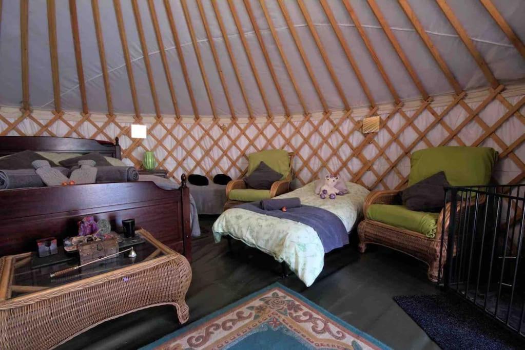Magical Forest Yurt Роскошный шатер