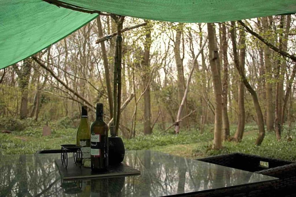 Magical Forest Yurt * Sturry